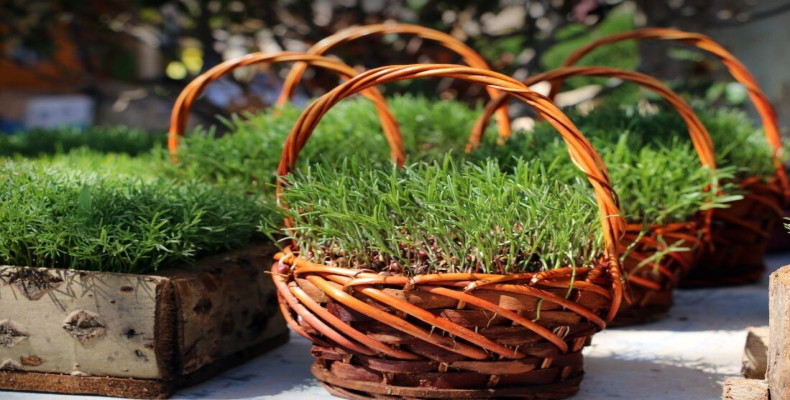 آداب و رسوم نوروز در ایران