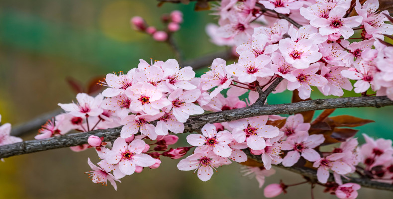  کشورهای مختلف دنیا