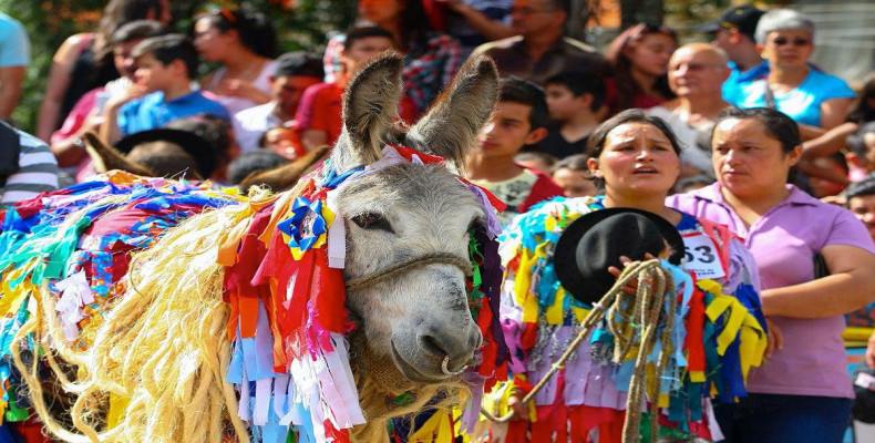 فستیوال های جیپور