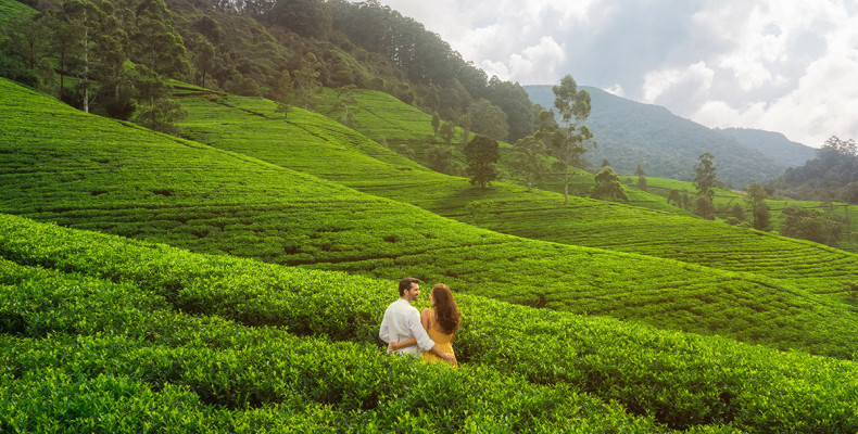 ماه عسل در سریلانکا؛ چرا باید این مقصد رویایی را انتخاب کنید؟