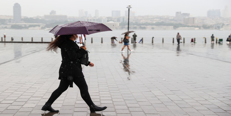 ژانویه (دی - بهمن)