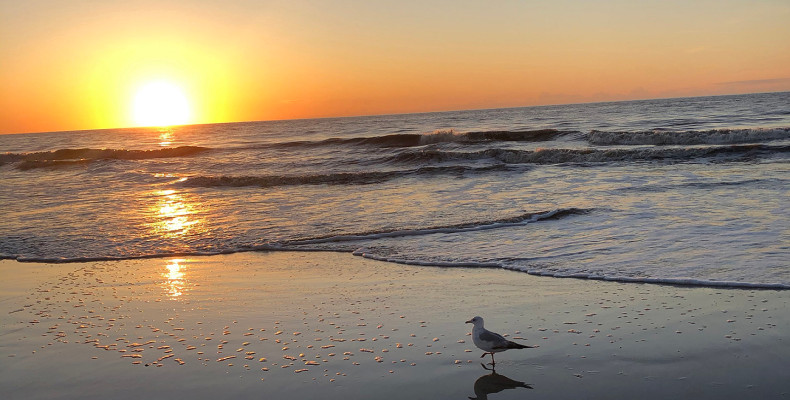 نکات کاربردی برای سفر 