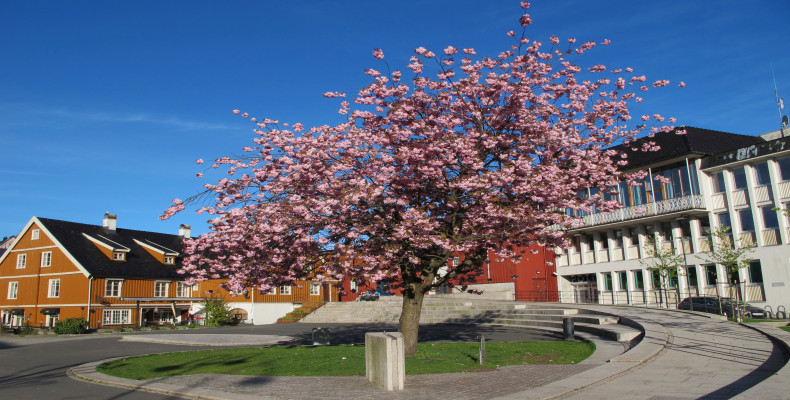 بهار در آرِندال، نروژ