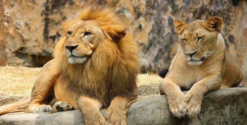 باغ‌وحش آنتالیا