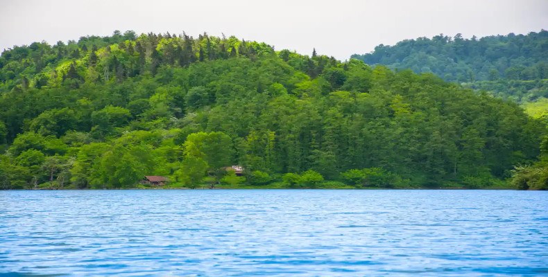 دریاچه لفور و جنکل های اطراف آن