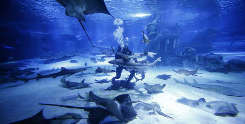 غواصی در آکواریوم آنتالیا