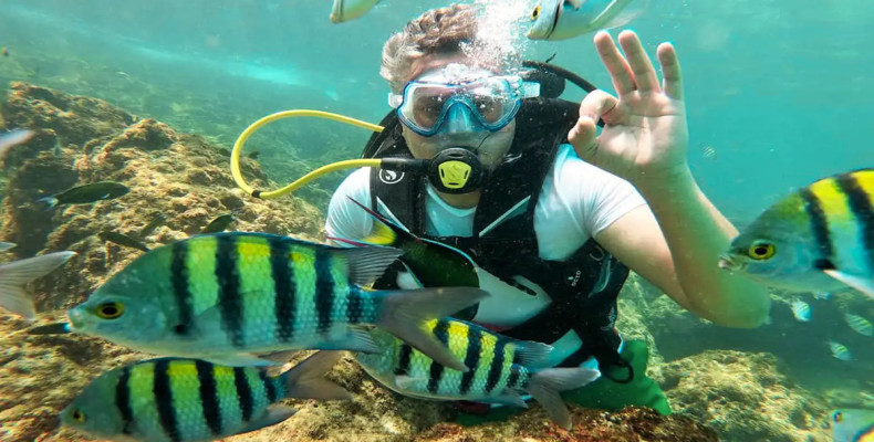 غواصی در کیش