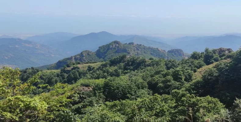 جنگل‌ های لوشکی