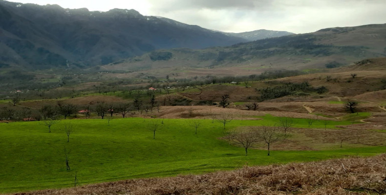 روستای ییلاقی مسکین