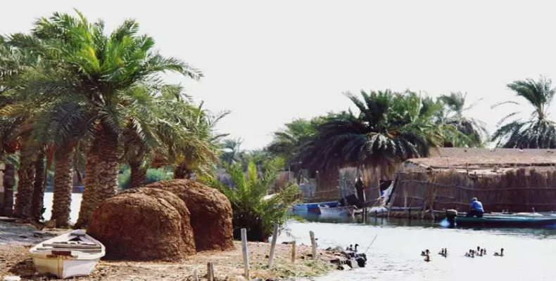 تالاب شادگان