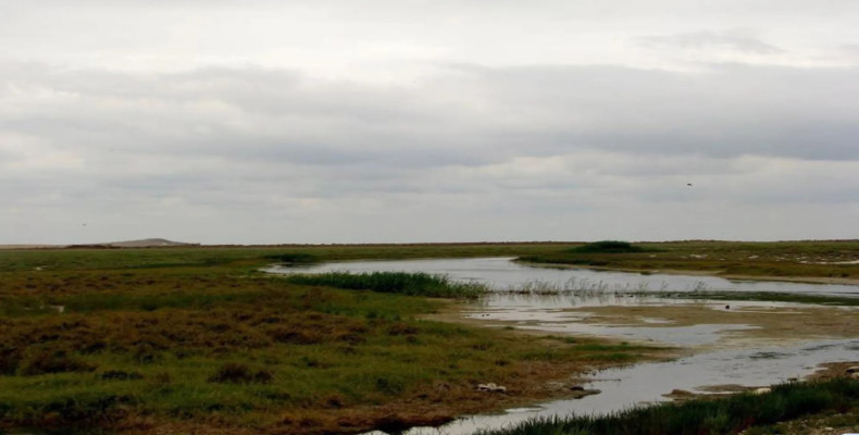 منطقه شکار ممنوع صوفیکم