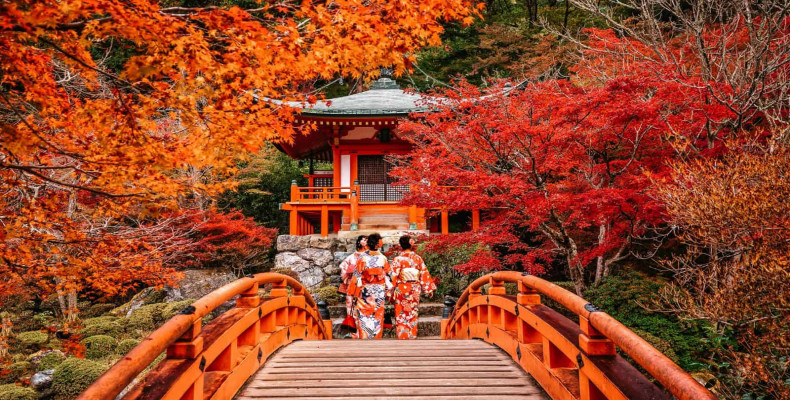 پاییز در خارج کجا بریم؟ اروپا، آسیا یا فستیوال های پاییزی