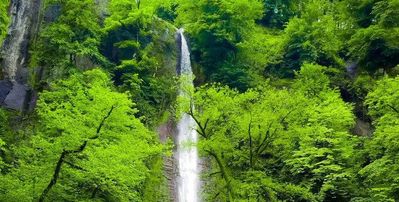 پوشش گیاهی آبشار لوشکی گیلان