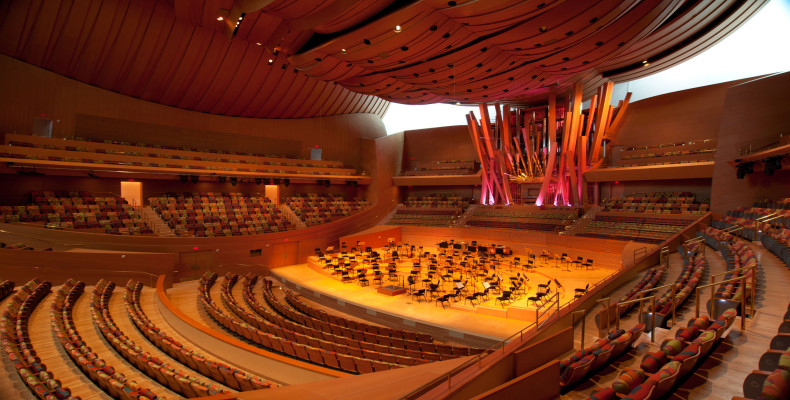 سالن کنسرت والت دیزنی لس انجلس