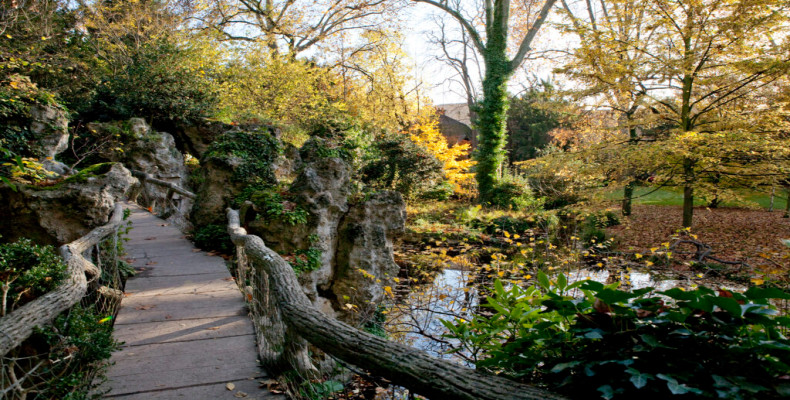 جنگل طلایی موزه آلبرت پاریس