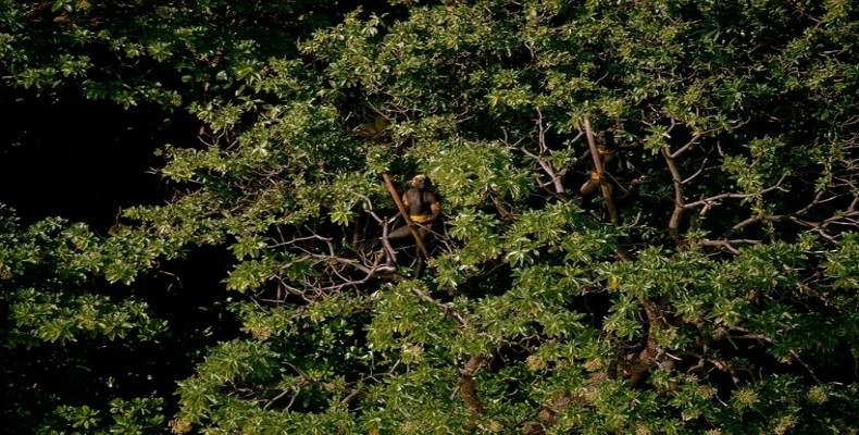 داستان‌های مرموز جزیره ممنوعه هند