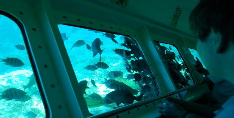 کشتی ستاره دریایی کیش