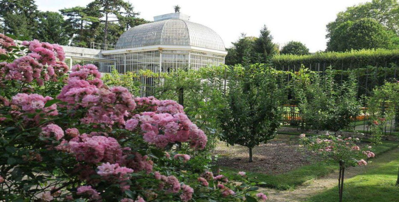 باغ میوه و رزستان موزه آلبرت پاریس