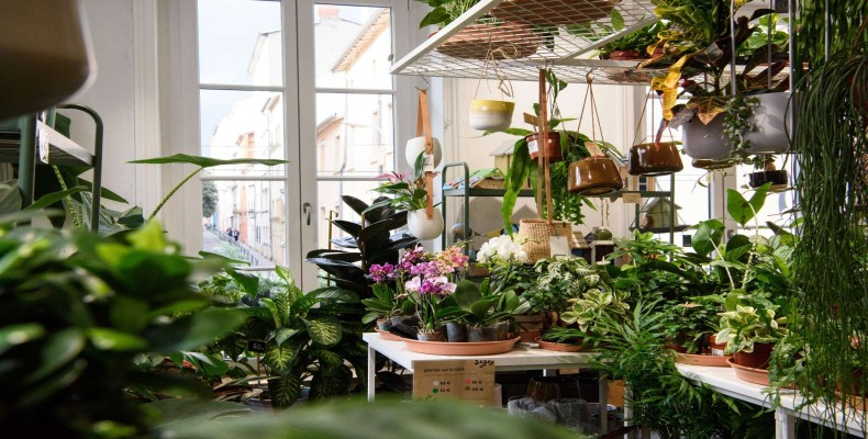 دنیای سبز در Plantes Pour Tous اطراف کانال سنت مارتین پاریس